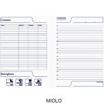 CAD0001-Miolo